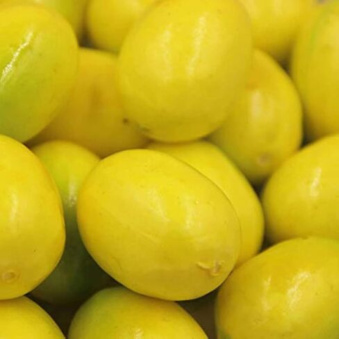 10 Pcs Artificial Mini Lemon Decor Fake Fruit Home Party Festival Decoration Props,Artificial Lemons Simulation Lifelike Small Lemons Fake Fruit for Home Kitchen Wedding Party Decoration Photography in Kuwait