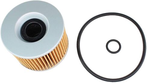USPEEDA 2x Oil Filter / O-Rings for FZ700 FZ750 FZR750R FZR1000 FJ1100 FJ1200 Replace 36Y-13441-00-00 in Saudi Arabia