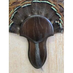 مجموعة تركيب The Taxidermists Woodshop Dark Oak Oak تركيا مع لوحة اللحية -02 in Kuwait