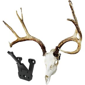 Sturdy Low Profile European Mount Skull Hanger. Secure Your Euro Mount with Peace of Mind!. Show Off Your Deer Skull Mount!