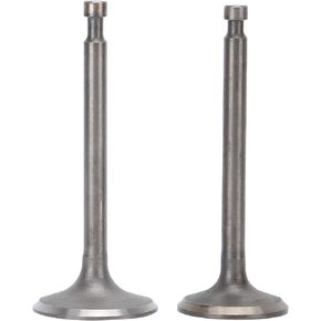 صمامات عادم مدخل المولد، مجموعة صمامات عادم السحب الرائعة، تفكيك الشركة العملية لتربية الأحياء المائية الزراعية in Kuwait