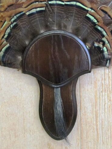 مجموعة تركيب The Taxidermists Woodshop Dark Oak Oak تركيا مع لوحة اللحية -02 in Kuwait