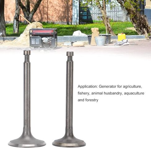 صمامات عادم مدخل المولد، مجموعة صمامات عادم السحب الرائعة، تفكيك الشركة العملية لتربية الأحياء المائية الزراعية in Kuwait