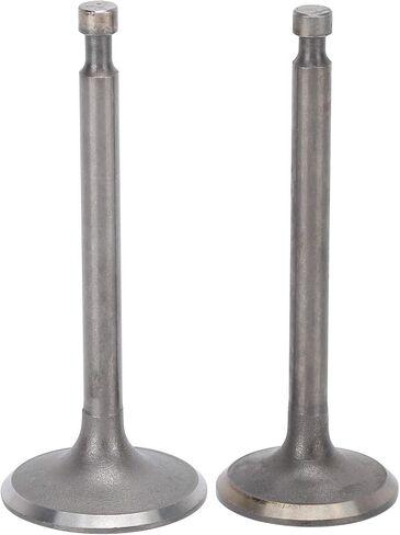 صمامات عادم مدخل المولد، مجموعة صمامات عادم السحب الرائعة، تفكيك الشركة العملية لتربية الأحياء المائية الزراعية in Kuwait