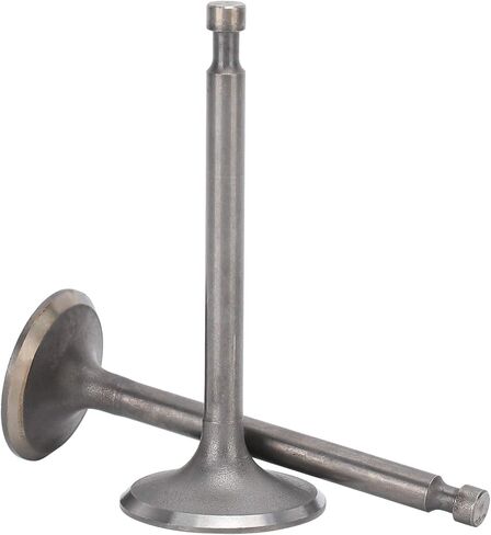 صمامات عادم مدخل المولد، مجموعة صمامات عادم السحب الرائعة، تفكيك الشركة العملية لتربية الأحياء المائية الزراعية in Kuwait