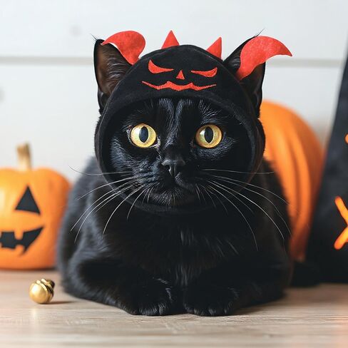 4 Pcs Cat Halloween Pumpkin Costume Dog Halloween Pumpkin Hat Adjustable Pet Headdress Cute Pumpkin Cap Pumpkin Headwear for Halloween Party Cosplay Costume Puppy Kitten Dress up Accessories in Kuwait