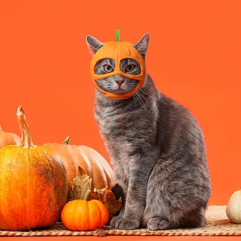 4 Pcs Cat Halloween Pumpkin Costume Dog Halloween Pumpkin Hat Adjustable Pet Headdress Cute Pumpkin Cap Pumpkin Headwear for Halloween Party Cosplay Costume Puppy Kitten Dress up Accessories in Kuwait