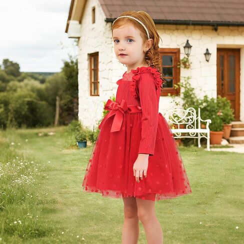 Miipat Toddler Girls Tulle Dress Long Sleeve Tutu Dress Little Kids Ruffle Party Princess Dress in Kuwait
