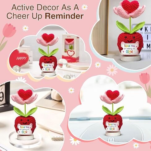 هدية تقدير المعلم من Gossby - كروشيه التفاح الإيجابي المصنوع يدويًا مع بطاقة - شكرًا لمساعدتي على النمو - شكرًا لك، عيد ميلاد، تخرج، آخر يوم دراسي هدية للمعلم من الطالب in Kuwait