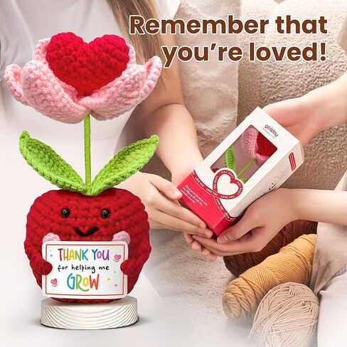 هدية تقدير المعلم من Gossby - كروشيه التفاح الإيجابي المصنوع يدويًا مع بطاقة - شكرًا لمساعدتي على النمو - شكرًا لك، عيد ميلاد، تخرج، آخر يوم دراسي هدية للمعلم من الطالب in Kuwait