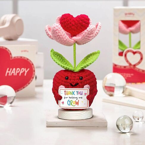 هدية تقدير المعلم من Gossby - كروشيه التفاح الإيجابي المصنوع يدويًا مع بطاقة - شكرًا لمساعدتي على النمو - شكرًا لك، عيد ميلاد، تخرج، آخر يوم دراسي هدية للمعلم من الطالب in Kuwait
