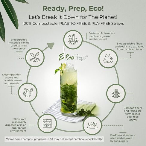 شفاطات من ألياف الخيزران قابلة للتحلل مقاس 10 بوصات، شفاطات طويلة جدًا | عدد 100، شفاطات شرب صديقة للبيئة بنسبة 100% | شفاطات جامبو خالية من البلاستيك، شفاطات يمكن التخلص منها من الألياف النباتية، بطول 10 بوصات in Kuwait