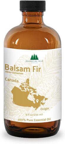 زيت التنوب البلسم العضوي (15 مل) - مباشرة من شريك المزرعة لدينا في كندا - الزيوت العطرية للمنزل أو المرطب أو العلاج العطري | درجة علاجية نقية in Kuwait