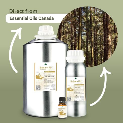 زيت التنوب البلسم العضوي (15 مل) - مباشرة من شريك المزرعة لدينا في كندا - الزيوت العطرية للمنزل أو المرطب أو العلاج العطري | درجة علاجية نقية in Kuwait