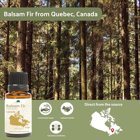 زيت التنوب البلسم العضوي (15 مل) - مباشرة من شريك المزرعة لدينا في كندا - الزيوت العطرية للمنزل أو المرطب أو العلاج العطري | درجة علاجية نقية in Kuwait