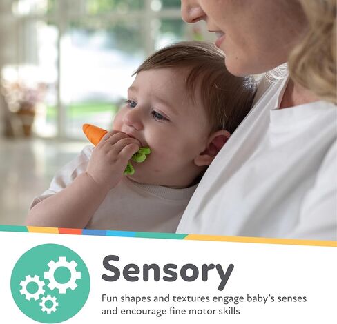 Nuby Silicone Carrot Tube Teether and Realistic Silicone Carrot Teether with Massaging Bristles Combo - Gentle on Gums - 3+ Months in Saudi Arabia