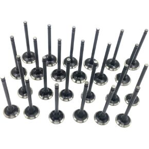 24x Intake Exhaust Valve Kit For Hyundai Santa Fe 01-06 For Hyundai Sonata 99-05 For Hyundai Tiburon 03-08 For Hyundai Tucson 05-09 For Kia Optima 01-06 For Kia Sportage 05-10 2.5L 2.7L "G6BV DELTA" in Kuwait