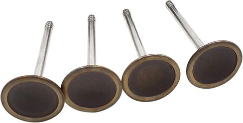 8PCS Exhaust Intake Valves For 1993 1994 1995 1996 1997 1998 1999 2000 2001 2002 2003 2004 2005 2006 Audi Vw Golf Beetle Jetta Cabrio 2.0L SOHC 8V T101087 037-109-601 037-109-611B in Saudi Arabia