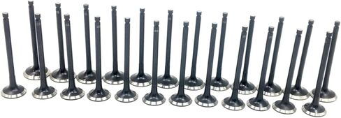 24x Intake Exhaust Valve Kit For Hyundai Santa Fe 01-06 For Hyundai Sonata 99-05 For Hyundai Tiburon 03-08 For Hyundai Tucson 05-09 For Kia Optima 01-06 For Kia Sportage 05-10 2.5L 2.7L "G6BV DELTA" in Saudi Arabia