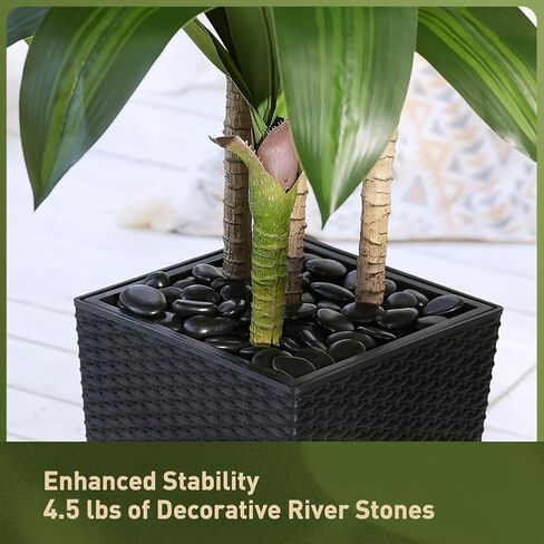 شجرة Dracaena الاصطناعية بطول 6 أقدام - شجرة وهمية مع زارع مستدق أسود وحصى - نبات يوكا صناعي مقاوم للأشعة فوق البنفسجية - أشجار صناعية للمنزل والمكتب وغرفة المعيشة وديكور داخلي وخارجي in Kuwait