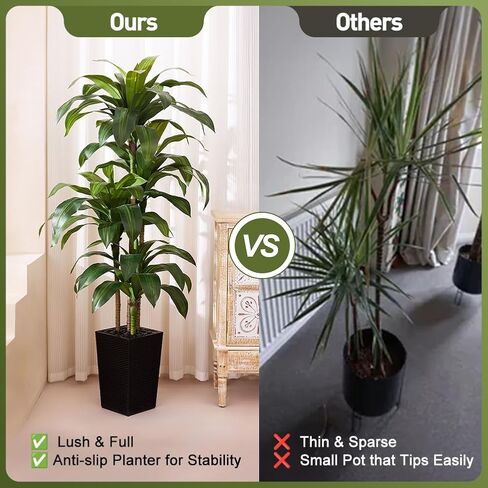 شجرة Dracaena الاصطناعية بطول 6 أقدام - شجرة وهمية مع زارع مستدق أسود وحصى - نبات يوكا صناعي مقاوم للأشعة فوق البنفسجية - أشجار صناعية للمنزل والمكتب وغرفة المعيشة وديكور داخلي وخارجي in Kuwait