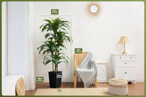 شجرة Dracaena الاصطناعية بطول 6 أقدام - شجرة وهمية مع زارع مستدق أسود وحصى - نبات يوكا صناعي مقاوم للأشعة فوق البنفسجية - أشجار صناعية للمنزل والمكتب وغرفة المعيشة وديكور داخلي وخارجي in Kuwait