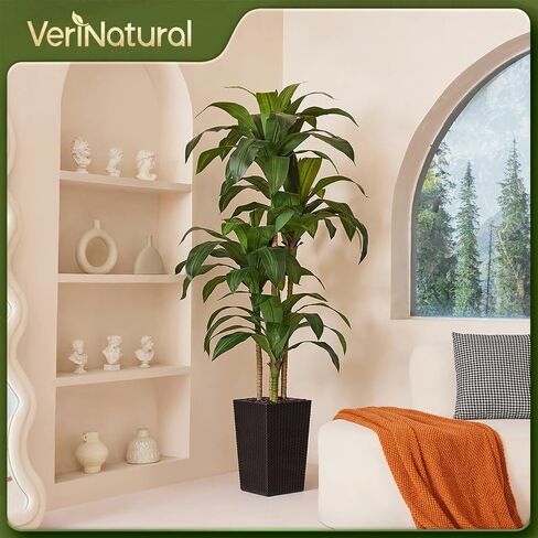 شجرة Dracaena الاصطناعية بطول 6 أقدام - شجرة وهمية مع زارع مستدق أسود وحصى - نبات يوكا صناعي مقاوم للأشعة فوق البنفسجية - أشجار صناعية للمنزل والمكتب وغرفة المعيشة وديكور داخلي وخارجي in Kuwait