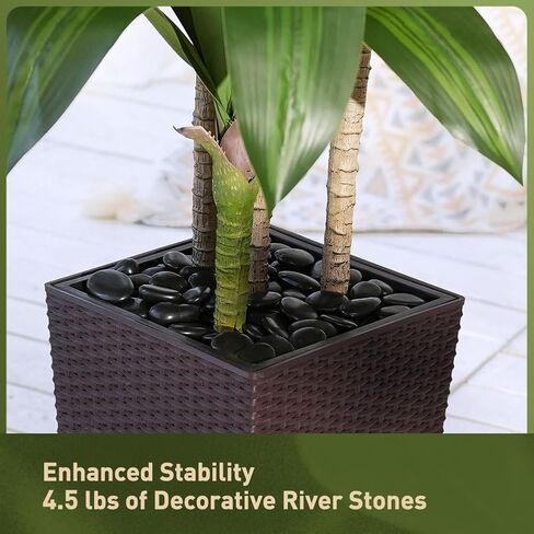 شجرة Dracaena الاصطناعية بطول 6 أقدام - شجرة وهمية مع زارع مستدق أسود وحصى - نبات يوكا صناعي مقاوم للأشعة فوق البنفسجية - أشجار صناعية للمنزل والمكتب وغرفة المعيشة وديكور داخلي وخارجي in Kuwait