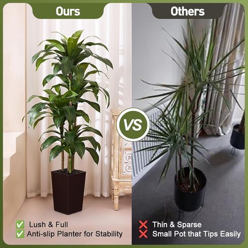 شجرة Dracaena الاصطناعية بطول 6 أقدام - شجرة وهمية مع زارع مستدق أسود وحصى - نبات يوكا صناعي مقاوم للأشعة فوق البنفسجية - أشجار صناعية للمنزل والمكتب وغرفة المعيشة وديكور داخلي وخارجي in Kuwait