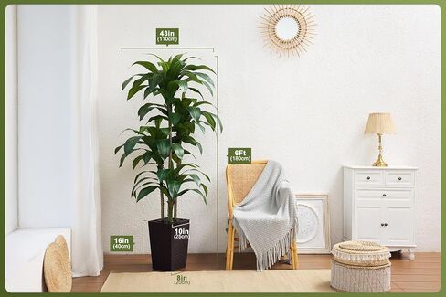 شجرة Dracaena الاصطناعية بطول 6 أقدام - شجرة وهمية مع زارع مستدق أسود وحصى - نبات يوكا صناعي مقاوم للأشعة فوق البنفسجية - أشجار صناعية للمنزل والمكتب وغرفة المعيشة وديكور داخلي وخارجي in Kuwait