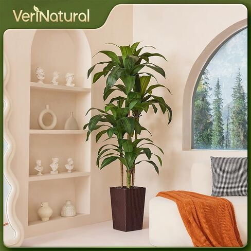 شجرة Dracaena الاصطناعية بطول 6 أقدام - شجرة وهمية مع زارع مستدق أسود وحصى - نبات يوكا صناعي مقاوم للأشعة فوق البنفسجية - أشجار صناعية للمنزل والمكتب وغرفة المعيشة وديكور داخلي وخارجي in Kuwait