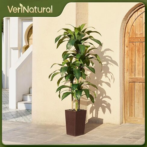 شجرة Dracaena الاصطناعية بطول 6 أقدام - شجرة وهمية مع زارع مستدق أسود وحصى - نبات يوكا صناعي مقاوم للأشعة فوق البنفسجية - أشجار صناعية للمنزل والمكتب وغرفة المعيشة وديكور داخلي وخارجي in Kuwait