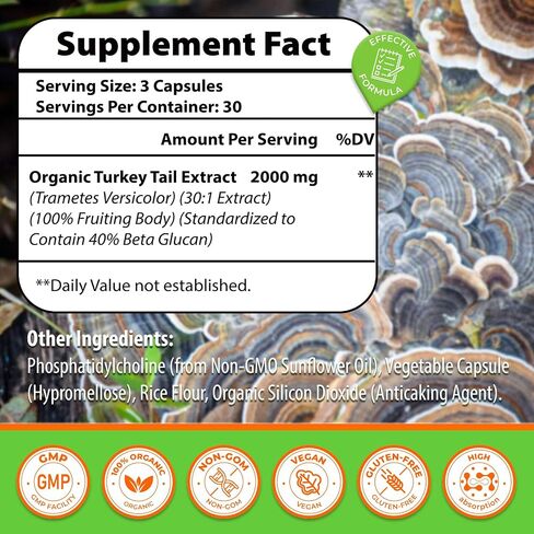 Liposomal Turkey Tail Mushroom Capsules, High Absorption Organic Turkey Tail Mushroom Extract 2000MG| 30:1 Fruiting Body| Supplement for Digestive Health, Energy & Immune Support, Non-GMO -90 Capsules in Saudi Arabia