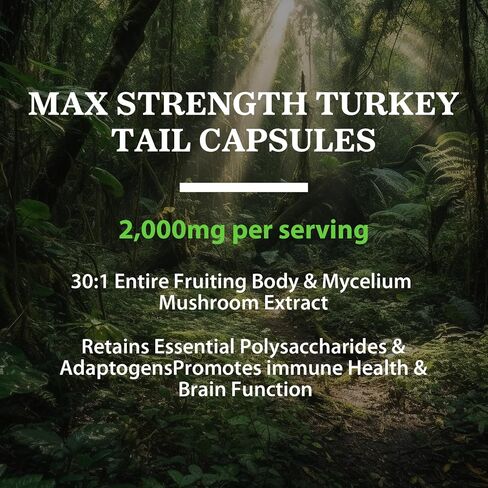 Liposomal Turkey Tail Mushroom Capsules, High Absorption Organic Turkey Tail Mushroom Extract 2000MG| 30:1 Fruiting Body| Supplement for Digestive Health, Energy & Immune Support, Non-GMO -90 Capsules in Saudi Arabia