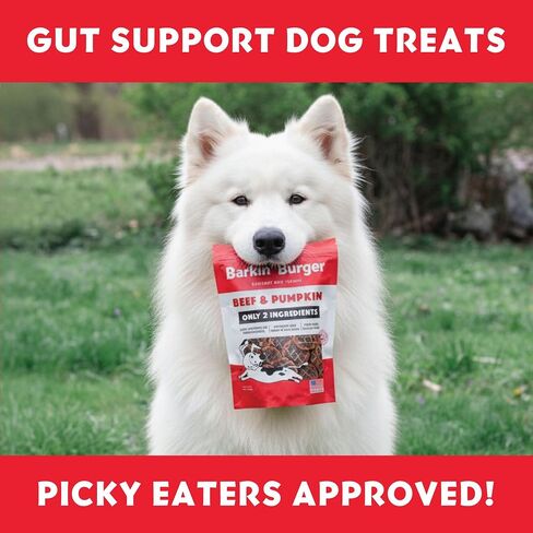Barkin Burger - Wild Alaskan Salmon & Pumpkin Grain-Free Dog Treats, 4 oz - Premium Two-Ingredient, All-Natural, Low-Fat, Lean Protein Treats for Dogs and Breeds in Saudi Arabia