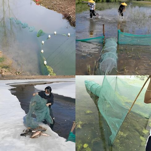 Crab Trap Shrimp Trap Shrimp Net Fish Trap Lobster Trap Minnow Trap Collapsible Portable Net Crab Net Large Inlet with Float and Heavy Duty Chain for Catching Crabs Lobsters Fish in Kuwait