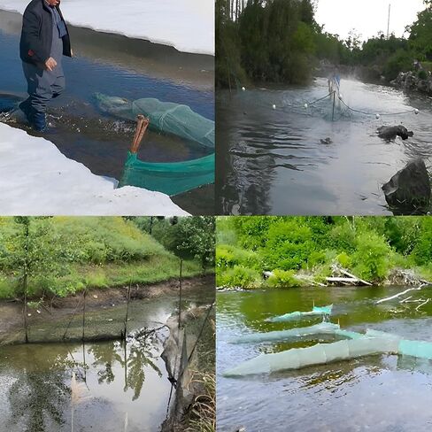 Crab Trap Shrimp Trap Shrimp Net Fish Trap Lobster Trap Minnow Trap Collapsible Portable Net Crab Net Large Inlet with Float and Heavy Duty Chain for Catching Crabs Lobsters Fish in Kuwait