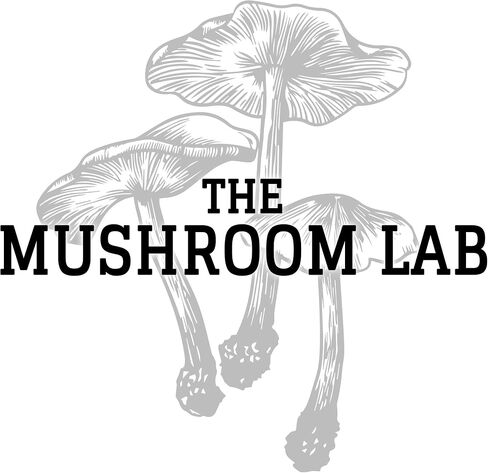 Mushroom Liquid Culture - Lion's Mane (Hericium Erinaceus) in Saudi Arabia