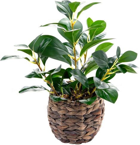 Indoor Fake Olive Plants 17.7 inches Tall Lifelike Artificial Olive Plants with Cyan Fruits in Brown Rattan Planter for Shelf Office Desk Kitchen Counter Small Space Artificial Plant Decor in Saudi Arabia