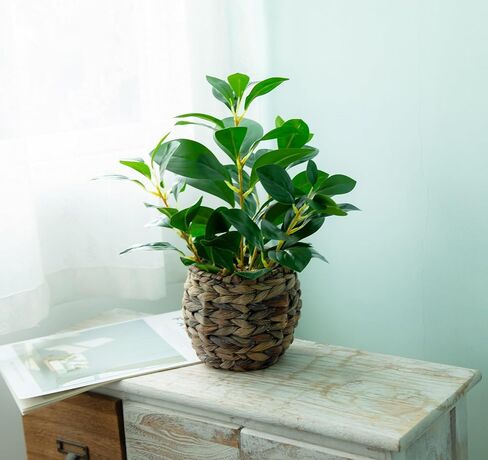 Indoor Fake Olive Plants 17.7 inches Tall Lifelike Artificial Olive Plants with Cyan Fruits in Brown Rattan Planter for Shelf Office Desk Kitchen Counter Small Space Artificial Plant Decor in Saudi Arabia