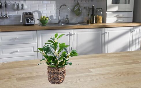 Indoor Fake Olive Plants 17.7 inches Tall Lifelike Artificial Olive Plants with Cyan Fruits in Brown Rattan Planter for Shelf Office Desk Kitchen Counter Small Space Artificial Plant Decor in Saudi Arabia