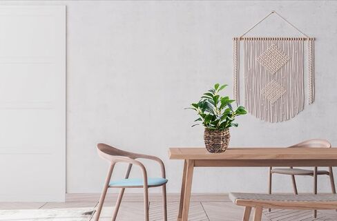 Indoor Fake Olive Plants 17.7 inches Tall Lifelike Artificial Olive Plants with Cyan Fruits in Brown Rattan Planter for Shelf Office Desk Kitchen Counter Small Space Artificial Plant Decor in Saudi Arabia