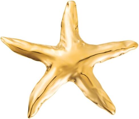 Ocean Starfish Brooch Pin for Women Gold Plated Stainless Steel Fashion Sea Star Marine Style Brooches Lapel Pins Cute Dress Accessories Birthday Beachy Party Jewelry Gift in Saudi Arabia