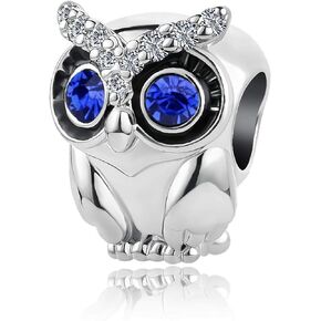 Lucky Clover Owl Horseshoe Dreamcatcher Charm Compatible with Pandora Charm Bracelets Women Animal CZ Bead Silver Anniversary Birthday