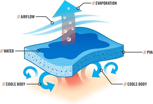 Ergodyne Chill-Its 6710CT Evaporative Cooling Dew Rag in Saudi Arabia