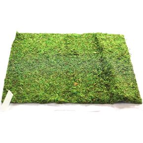 Preserved Moss Runner and Mats (18in x 16in mat)