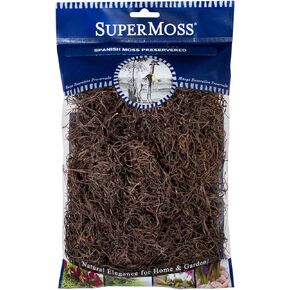 SuperMoss Spanish Preserved Swirly Moss, Coffee