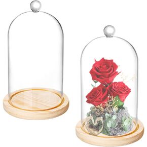 2 Pack Cloche Glass Dome, 8'' x 5'' Glass Dome Cloche with Rustic Wooden Base, Glass Cloche Bell Jar Display for Plants, Fairy Lights or Table Decor