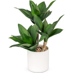 Large Artificial Succulent Plants Fake Three-Head Agave Succulent Plant Potted 15" Faux Plant in White Pot Succulent Aloe Plant Indoor for Desk Modern Home Office Living Room Table Shelf Decor