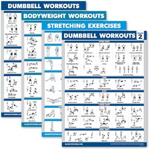 Palace Learning 4 Pack - Dumbbell Workouts + Bodyweight Workouts + Stretching Exercises + Dumbbell Vol 2 - Set of 4 Workout Charts (18" x 24", LAMINATED)